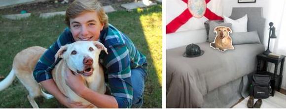 Custom Pet Pillow For College