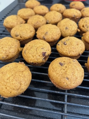 pumpkin muffins with chocolate chips recipe