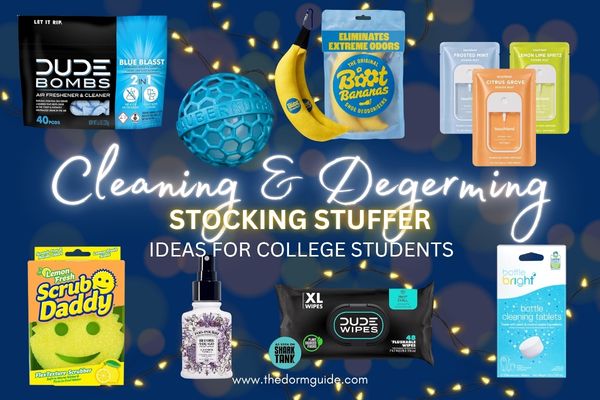 Stocking Stuffer Ideas Cleaning and Degerming